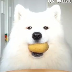 Meet your Posher, Zoe